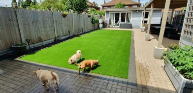 40mm Studland Artificial Grass for sale