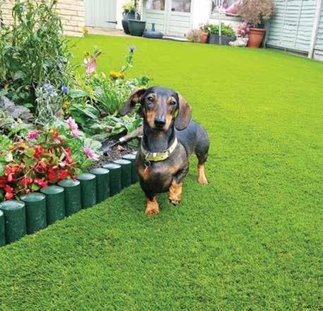 The Best Pet Friendly Artificial Grass | Dorset Warehouse, UK Delivery