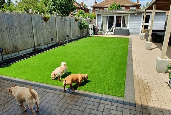 Artificial Grass Featured Install with pets | Dorset Warehouse, UK Delivery